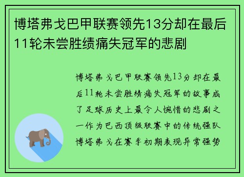 博塔弗戈巴甲联赛领先13分却在最后11轮未尝胜绩痛失冠军的悲剧